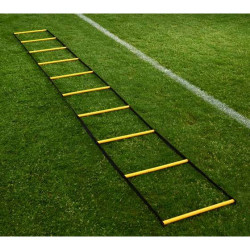 Agility 4m Ladder Agility 4m Ladder