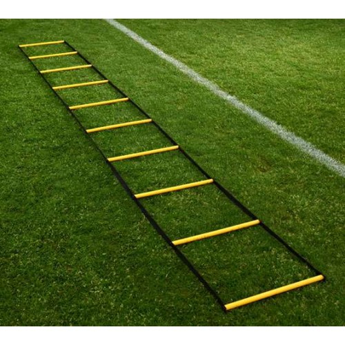 Agility 4m Ladder