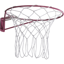 Netball Ring & Net Netball Ring & Net